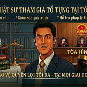 DỊCH VỤ LUẬT SƯ THAM GIA TỐ TỤNG TẠI TÒA HÌNH SỰ
